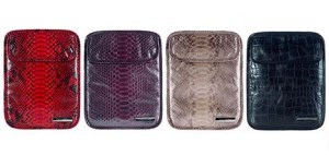 iPad ebook vs libros