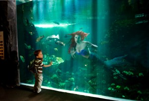 Ariel by Dina Goldstein