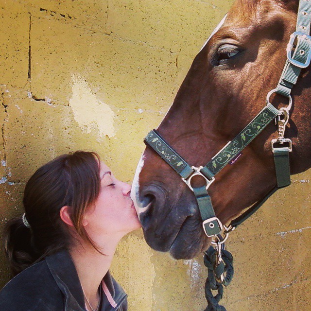 Foto ganadora del Reto Noviembre Dulce