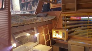 Súper Van de Chabel Feber 02