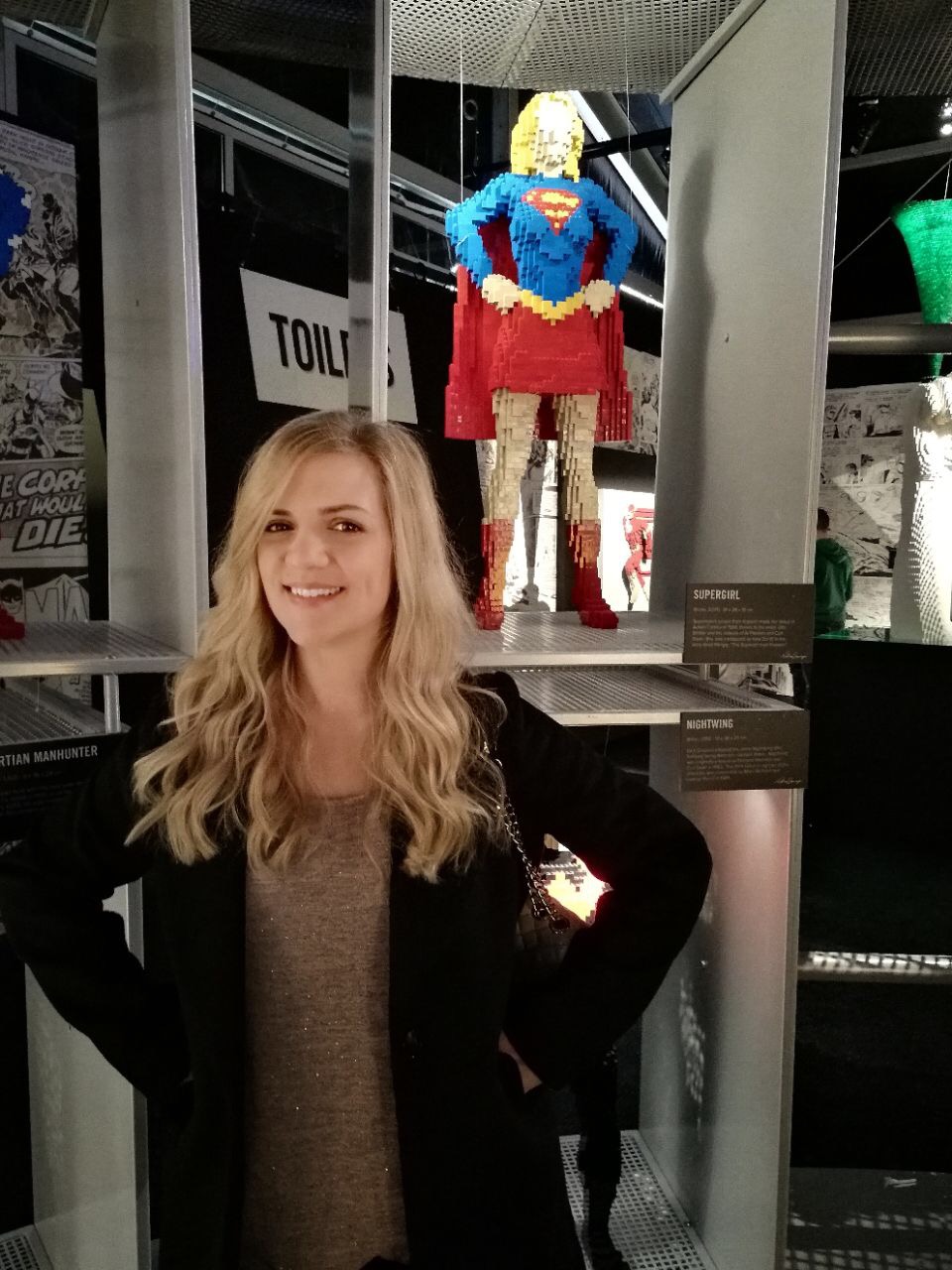 The Art of The Brick: DC Super Heroes 05