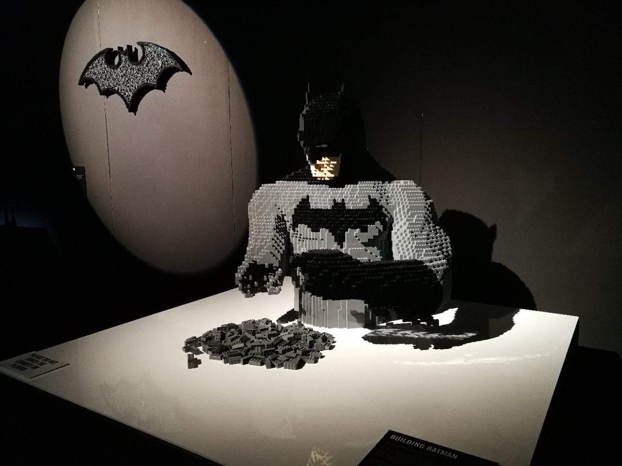 The Art of The Brick: DC Super Heroes 02