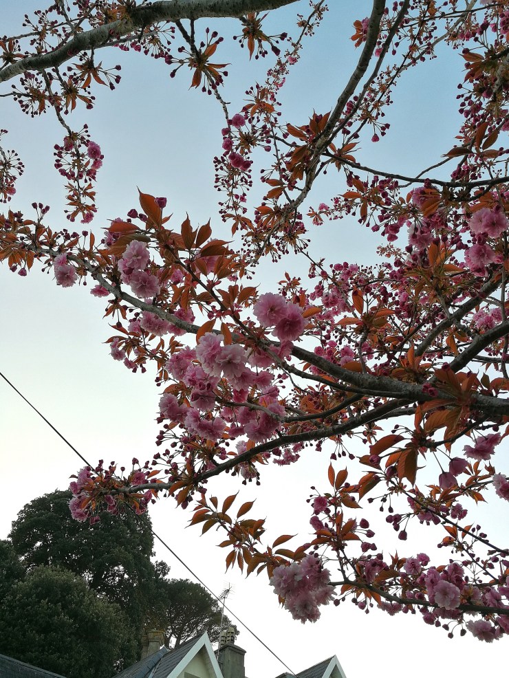 Cámara Huawei P10 en situaciones de poca luz 2