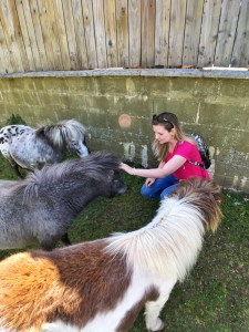 Rodeada de ponis adorables en Dartmoor
