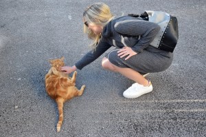 Vestidos de punto de Zalando Prive 03