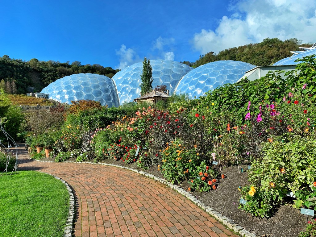 Proyecto Edén: un paraíso en Cornualles&nbsp;(vlog)